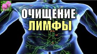 5 рецептов очищения лимфы.  7 Шаг.  Очищение организма