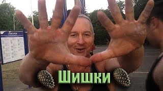 Шишки!!!