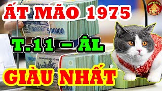 Tháng 11 ÂL Tuổi Ất Mão 1975 GIÀU NHẤT THIÊN HẠ, Tiền Rơi Trúng Đầu ĐỔI ĐỜI