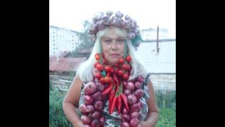 ОГОРОДНАЯ АЗБУКА ОЛЬГИ ЧЕРНОВОЙ. КАК НАЙТИ?