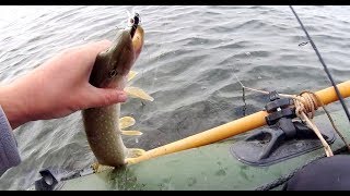 Ловля щуки на Tsuribito Dead Minnow