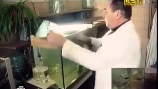 Бутылированная вода. Что мы пьём.