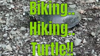 Mountain Biking Tunnel Hill State Trail, Hiking and the more Biking!