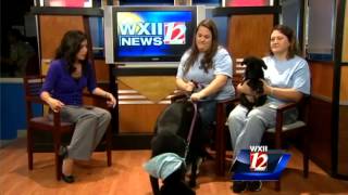 Saturday Pet Of The Week:  Hank & Harper