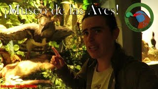 Visita al Museo de las Aves, Saltillo