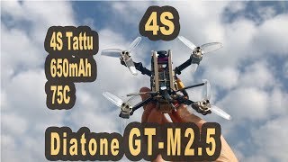 Diatone GT-M2.5 FPV Racing Drohne mit 4S Tattu 75C 650mAh