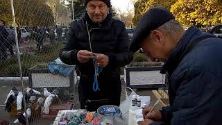Выставка голубей в Донецке 27 октября 2019 года