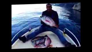 Fishing Line (Παραγάδια Κύμη Μάκης-Σάκης Νο.5)