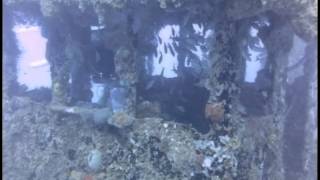 Scuba Dive Sosua