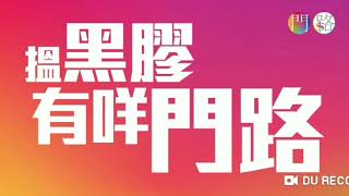 黑膠唱片 - 門路訪問港膠所
