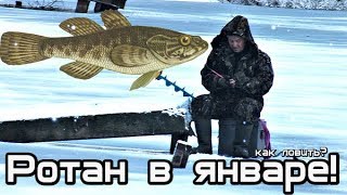 Как наловить много ротана в январе? Секреты ловли ротана зимой в январе!