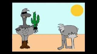 Страус / Ostrich