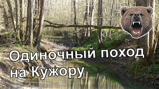 РЕКА КУЖОРА - одиночный поход с двумя ночевками в лесу