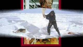 Les animaux martyrs