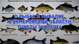 "О рыбах и рыбалке в Кемеровской области" ответы эксперта