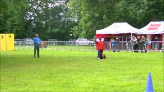 Espoir du domaine des Eclaireurs/ Attaque de  face ring 3 Denain