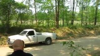 BigFoot Sighting  - Cass County ,Texas