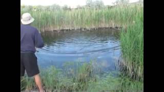 Кастинговая сеть с большим кольцом. Рыбалка на реке.