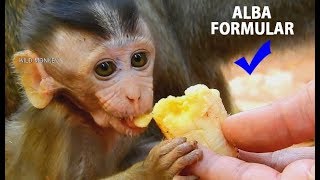 Alba thanks Papa feed soft food & Defense from Anna | Alba so happy lunch time.