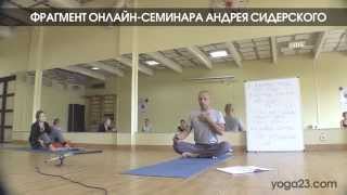 Андрей Сидерский. Мини-последовательность. YOGA23