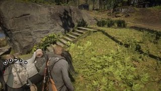 Red Dead Redemption 2 просто украл козу