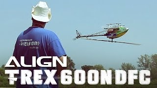 T-rex 600N PRO DFC YS 60SR 3D Flight