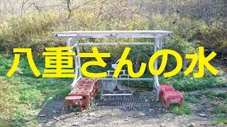 【北海道観光】釧路湿原の境目にある湧水 「八重の水」 を訪ねました　♪
