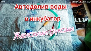 Как сделать автодолив воды в инкубатор.