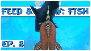 Feed and Grow: Fish - Ep. 8 - The Terrible Draith! - Feed and Grow: Fish Gameplay