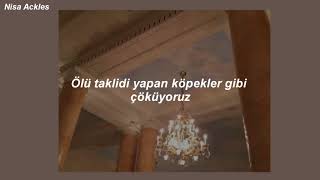 Sia - Broken Glass (Türkçe Çeviri)