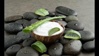 Alovera Malayalam Health Tips | Usages | MS Creations