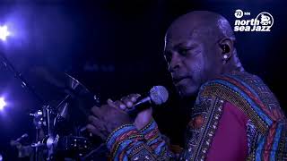 CeeLo Green "Don't Cha" (The Pussycat Dolls Remix)