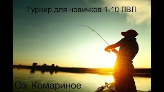 Русская рыбалка 4 | Турнир для новичков 1-10 ЛВЛ | оз. Комариное