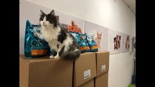 Подарки приюту "Муркоша" от Ольги Орловой