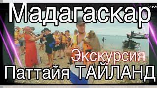 Оправдала себя Экскурсия Мадагаскар Паттайя | Куда пойти, что посмотреть | Цена экскурсий