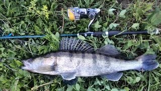 Открытие сезона 2015. Судак на Pontoon 21 Awaruna.