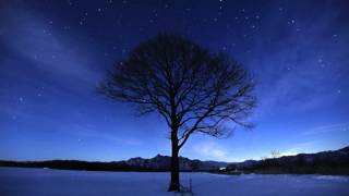 星景微速度撮影 タイムラプス#17 日本の雪・景色／星・景色 Star Timelapse in Japan#17～The snow-covered landscape & a starlit sky