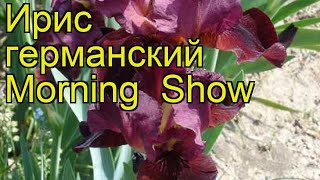 Ирис германский Утреннее Шоу. Краткий обзор, описание характеристик iris germanica Morning Show