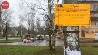 Родина слышит? Как и чем живет псковская деревня Родина