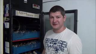 подключение терморегулятора к брудеру,нагреватель для брудера
