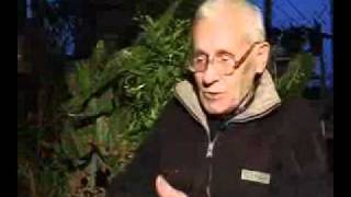 Учение Болотова. Медицина и здоровье