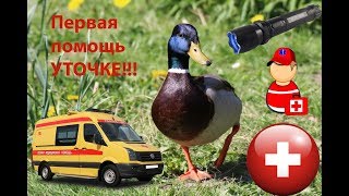 Охота на утку в России ))))
