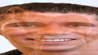 СОБАЧКА