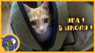 Рыжик идет в школу