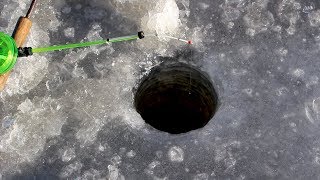 Зимняя рыбалка на МОРМЫШКУ, озеро Райскумс / Winter FISHING on Raiskums lake