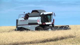 Жатва 2012 комбайн VECTOR 410