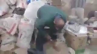 Мышь залезла в штаны