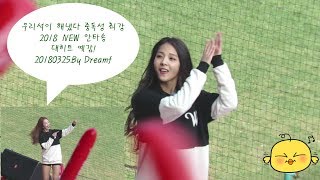 SK 와이번스 New 안타송 이미래&강윤이&김나영&오지연&우리석 180325 직캠