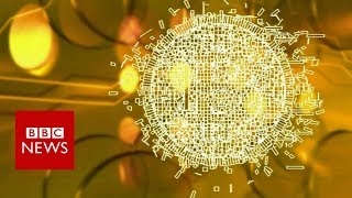 Money laundering fears for virtual currency Bitcoin - BBC News