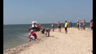 Должанская отзыв, описание, цены 2016 (Азовское море)